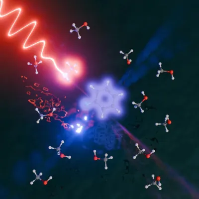 dimauro_hhg_pnas_cover_square_lowres